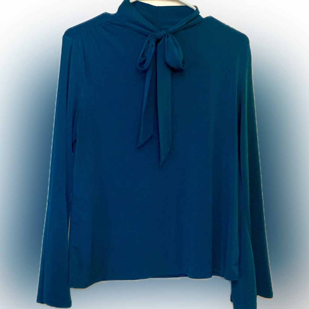 APT. 9 long sleeve shirt, size medium, color is teal or blue/green.